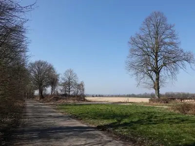 AreaSummer20KM
