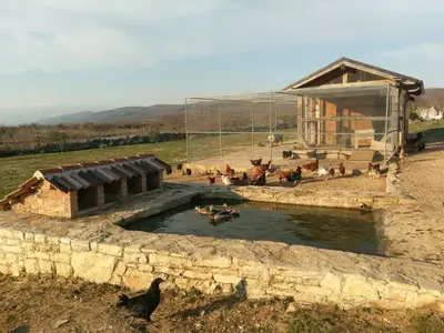 Ferienhaus für 6 Personen in Benkovac 8/10
