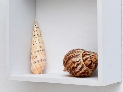 Ferienhaus für 4 Personen (45 m²) in Bensersiel 6/10
