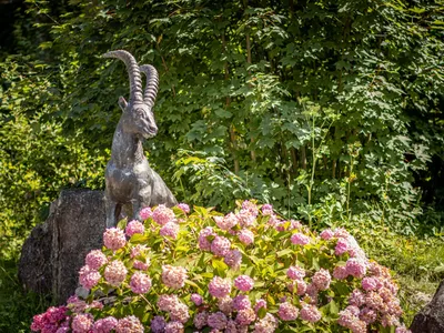Garten Ferienhaus Gipfelstürmer