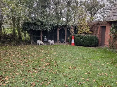 Ferienhaus für 7 Personen (140 m²) in Berdum 4/10