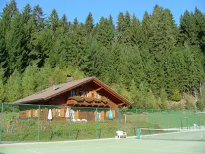 Ferienhaus für 10 Personen (160 m²) in Berg im Drautal