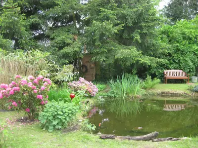 Teich