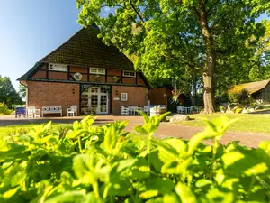 Ferienhaus für 4 Personen (67 m²) in Bergen (Celle)