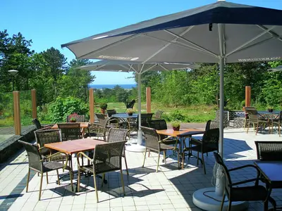 TerraceBalcony