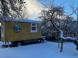 Ferienhaus für 4 Personen (40 m²) in Bergen Op Zoom