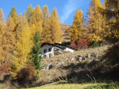 Ferienhaus für 9 Personen in Bergün/Bravuogn 1/10
