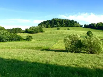 Ferienhaus für 2 Personen (45 m²) in Berlingen 4/10