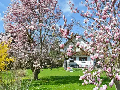 Ferienhaus für 5 Personen (140 m²) in Bernau am Chiemsee 1/10