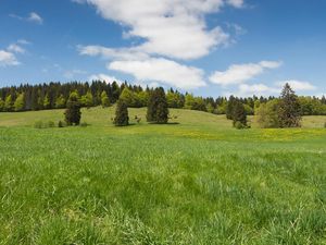 18406384-Ferienhaus-6-Bernau (Waldshut)-300x225-4