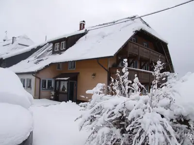 Ferienhaus für 12 Personen (200 m²) in Bernau (Waldshut) 5/10