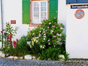 Ferienhaus für 4 Personen (70 m&sup2;) in Bernkastel-Kues