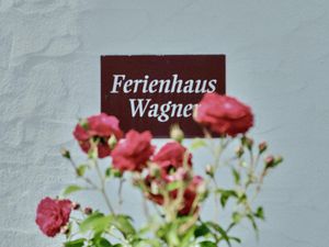 3808242-Ferienhaus-4-Bernkastel-Kues-300x225-3