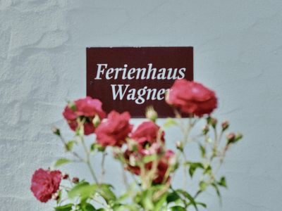 Ferienhaus für 4 Personen (70 m²) in Bernkastel-Kues 4/10