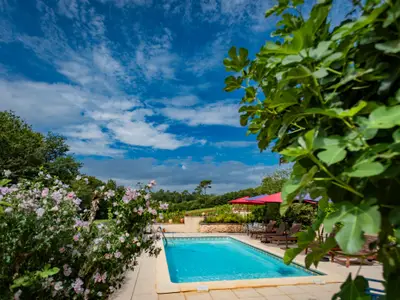 Pool des Ferienhauses