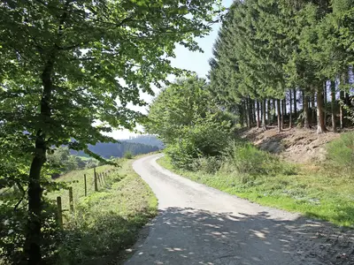 AreaSummer1KM
