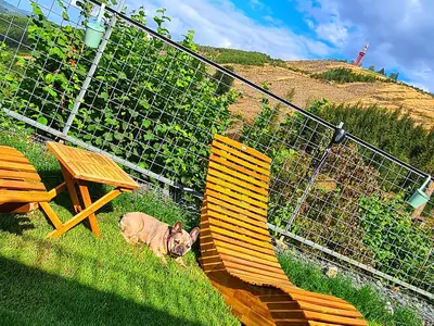 Ferienhaus für 3 Personen (86 m²) in Bestwig 8/10