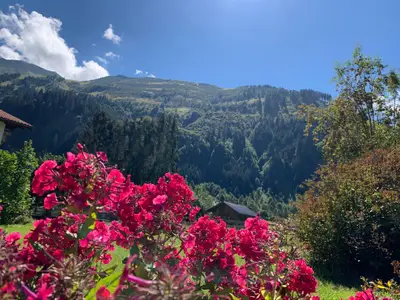 Ferienhaus für 12 Personen (190 m²) in Bichlbach 7/10