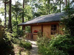 Ferienhaus für 2 Personen (42 m²) in Bienenbüttel