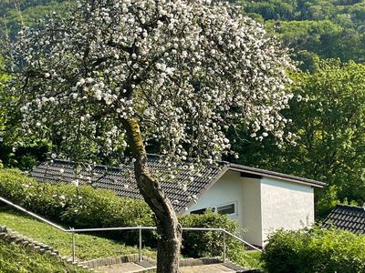 Ferienhaus für 5 Personen (78 m²) in Biersdorf am See 4/10