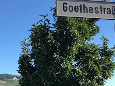 Ferienhaus für 7 Personen (200 m²) in Bingen Am Rhein 5/10