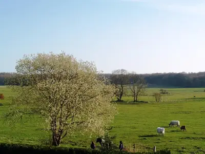 Ausblick aus dem Fenster. Aussicht im Frühjahr vom Balkon