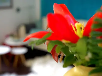 Ferienhaus für 6 Personen (95 m²) in Binz (Ostseebad) 10/10