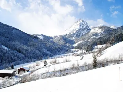Ferienhaus für 6 Personen (120 m²) in Bischofshofen 4/10
