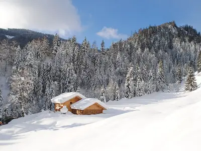 Ferienhaus für 6 Personen (120 m²) in Bischofshofen 5/10