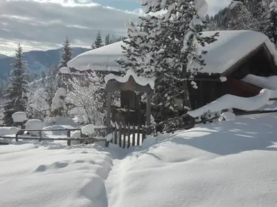 Ferienhaus für 4 Personen (80 m²) in Bischofshofen 4/10