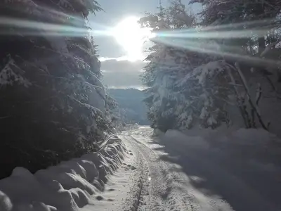 Ferienhaus für 4 Personen (80 m²) in Bischofshofen 5/10