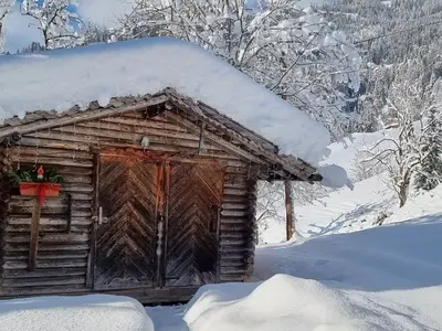 Ferienhaus für 16 Personen (250 m²) in Bischofshofen 4/10