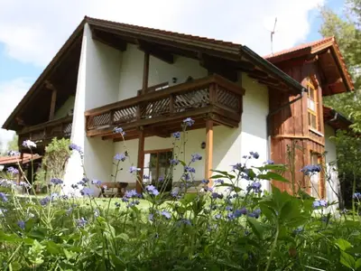 Ferienhäuser"In der Waldperle"