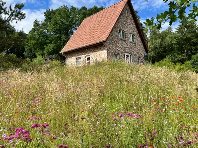 Eingangsseite im Frühjahr