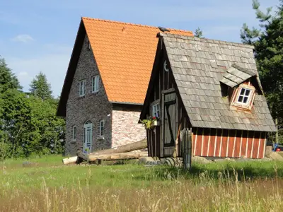 Der Weissdorn mit dem Hexenhäuschen Gänseblümchen