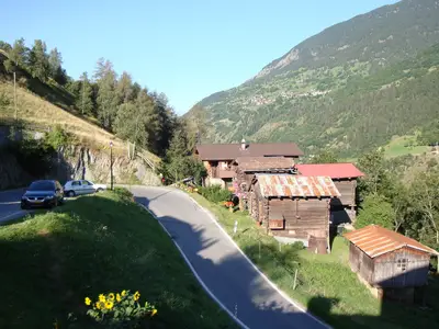 ViewSummer