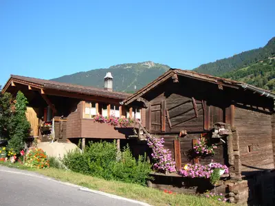 ViewSummer