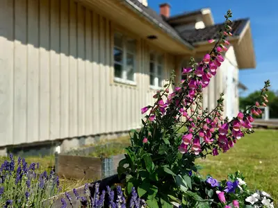 outside