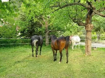 Gartenbewohner