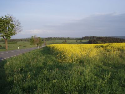 Ferienhaus für 4 Personen (90 m²) in Blankenburg (Harz) 6/10