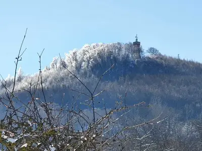 Ferienhaus für 6 Personen (133 m²) in Blankenburg (Harz) 7/10