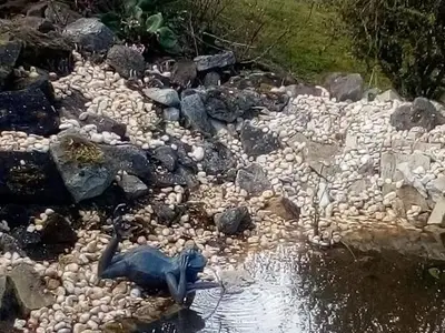 Ferienhaus für 4 Personen (55 m²) in Blankenburg (Harz) 6/10