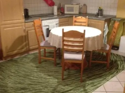 Ferienhaus für 4 Personen (55 m²) in Blankenburg (Harz) 9/10