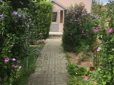 Ferienhaus für 6 Personen (70 m²) in Blankenburg (Harz) 1/10