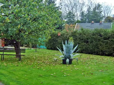 Ferienhaus für 6 Personen (115 m²) in Blankenhagen 2/10