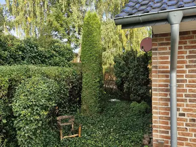 Ferienhaus für 6 Personen (95 m²) in Blankensee 9/10