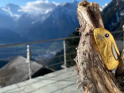 Ferienhaus für 6 Personen (90 m²) in Blatten bei Naters 2/10