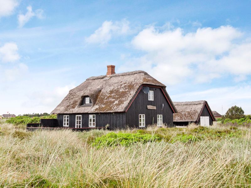 18683967-Ferienhaus-6-Blåvand-800x600-0