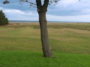 22394637-Ferienhaus-2-Blåvand-300x225-3