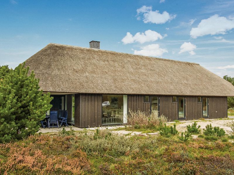 23720925-Ferienhaus-8-Blåvand-800x600-0